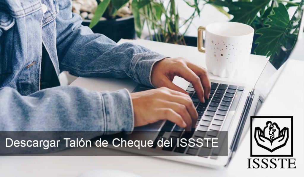 Talon De Cheque Imss